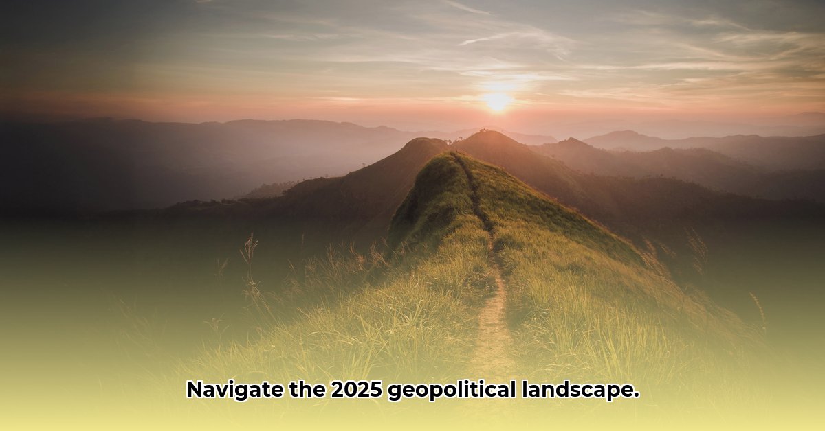 global-geopolitical-landscape-2025